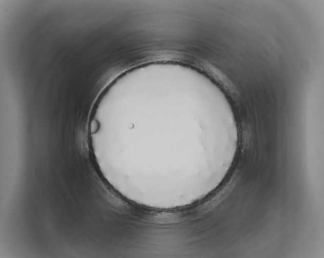 X0000111451178200908101028