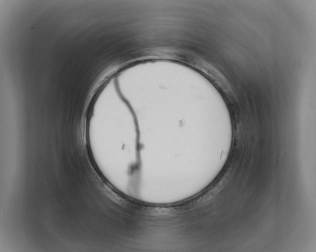 X0000111451180200908101028