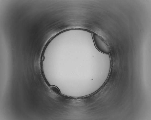 X0000111451181200908101028
