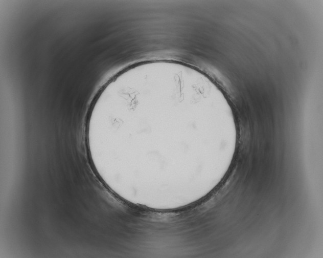 X0000111451184200908101028