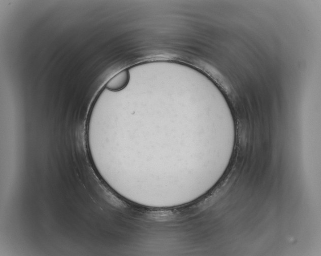 X0000111451186200908101028