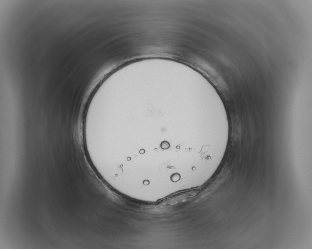 X0000111451188200908101028
