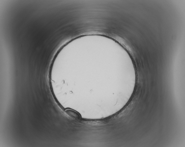 X0000111451189200908101028
