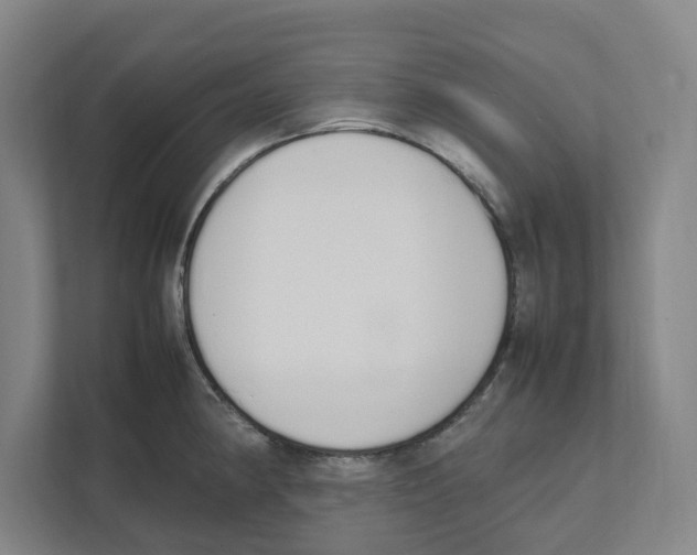 X0000111451190200908101028