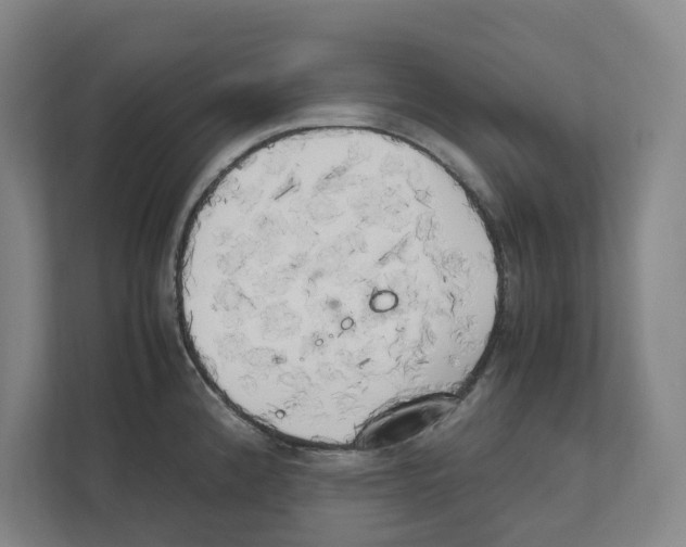 X0000111451192200908101028