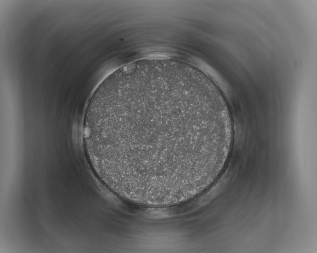 X0000111451194200908101028