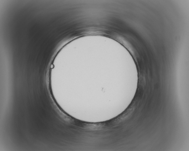 X0000111451195200908101028