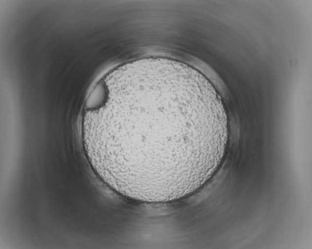 X0000111451198200908101028