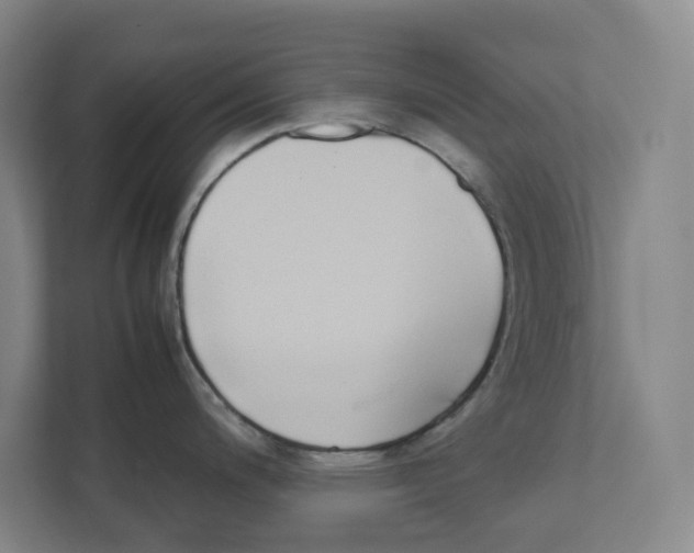 X0000111451200200908101028