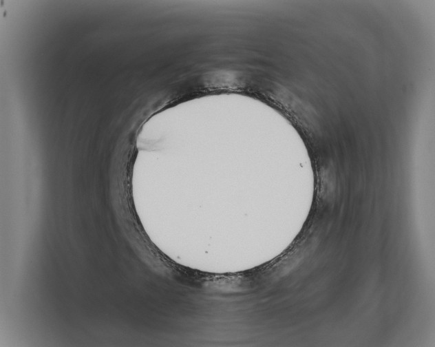 X0000111451201200908101027