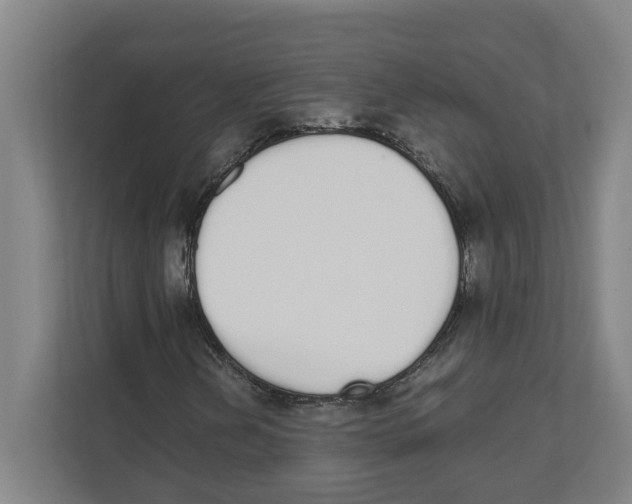 X0000111451202200908101028