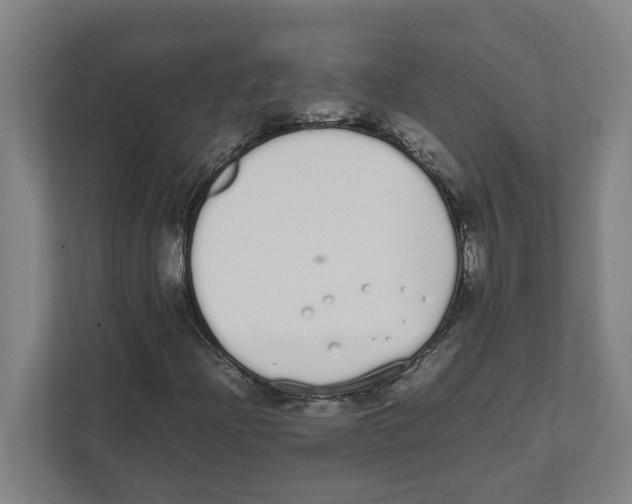 X0000111451204200908101028