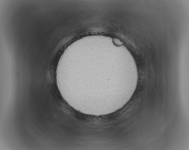 X0000111451207200908101028