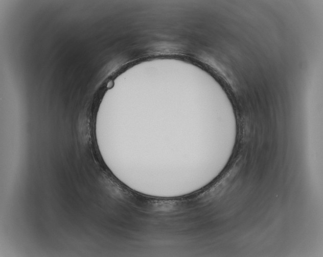 X0000111451211200908101028