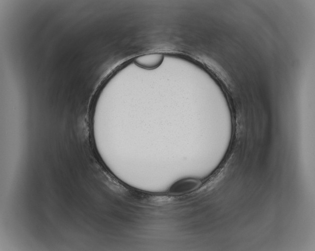 X0000111451212200908101028