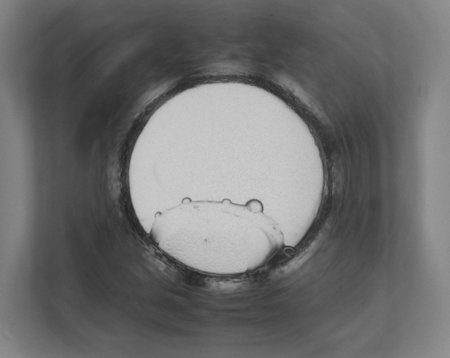 X0000111451213200908101028
