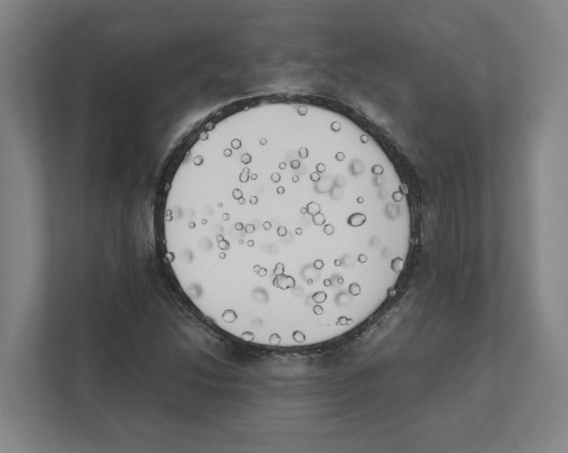 X0000111451214200908101028