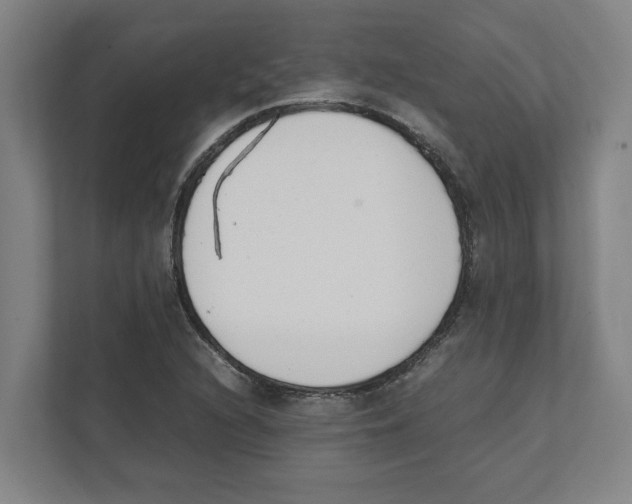 X0000111451216200908101028