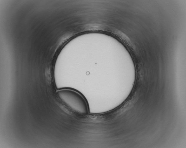 X0000111451218200908101028