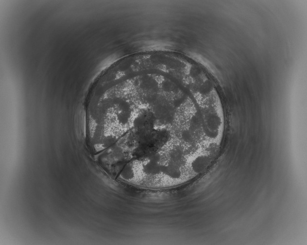 X0000111451219200908101028