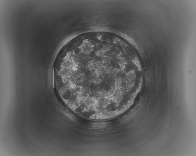 X0000111451223200908101028
