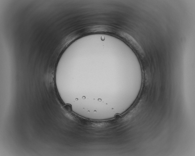 X0000111451225200908101028