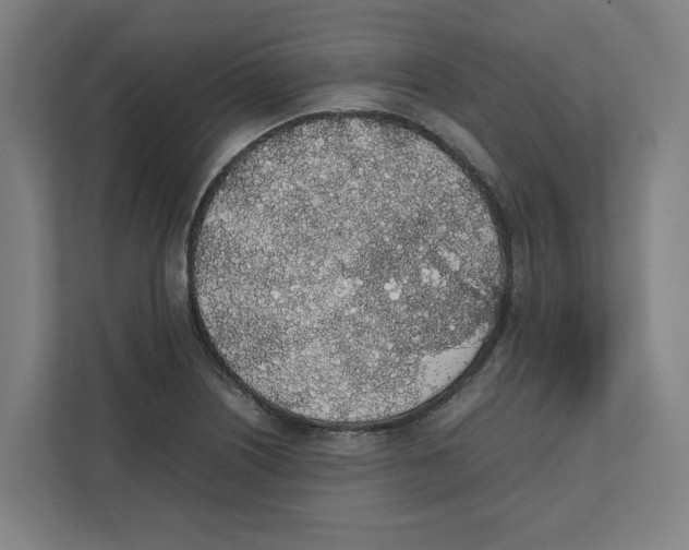 X0000111451226200908101028