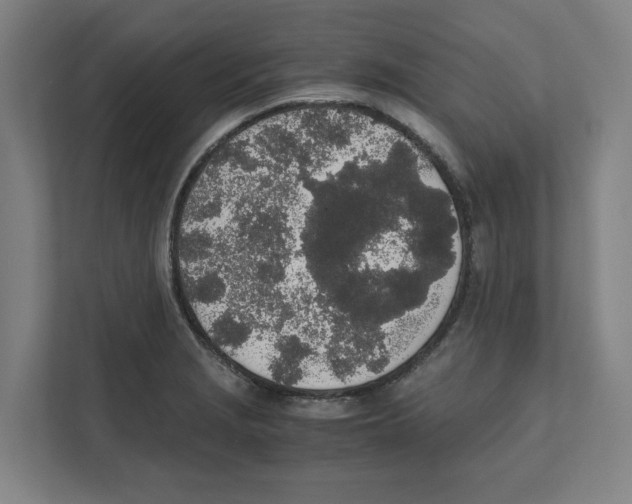 X0000111451229200908101028