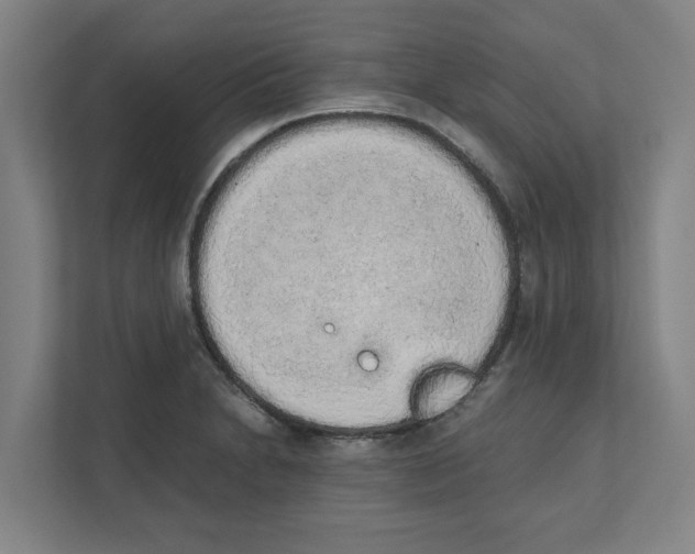 X0000111451230200908101028