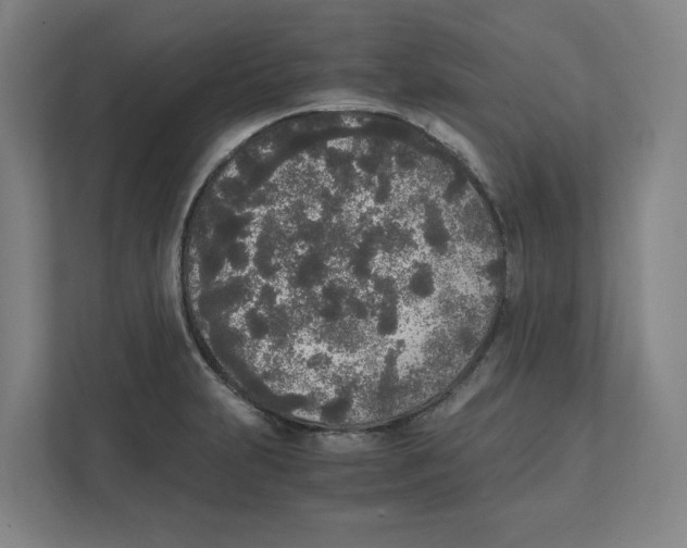 X0000111451231200908101028
