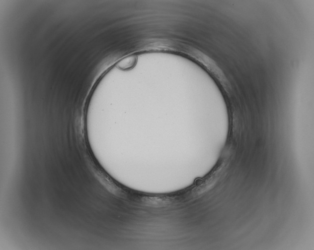 X0000111451234200908101028