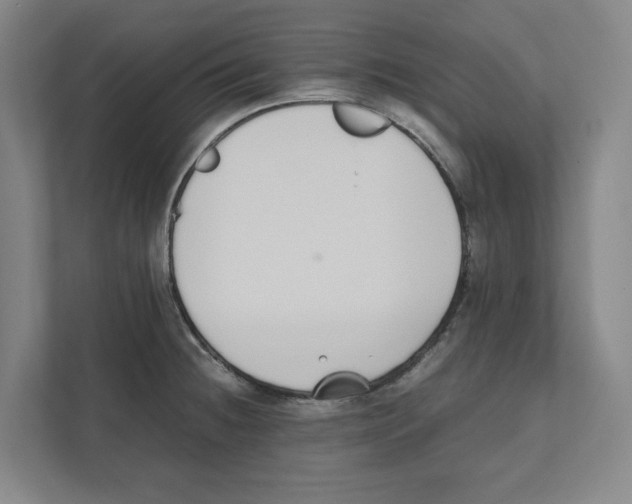 X0000111451236200908101028