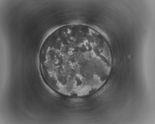 X0000111451239200908101028