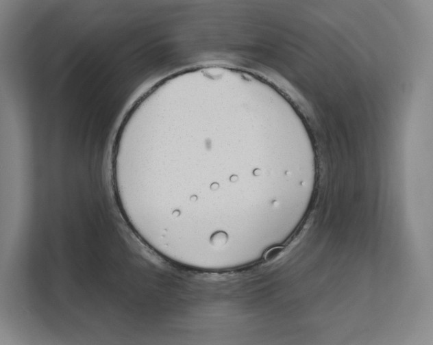 X0000111451240200908101028