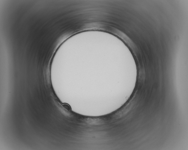 X0000111451242200908101028