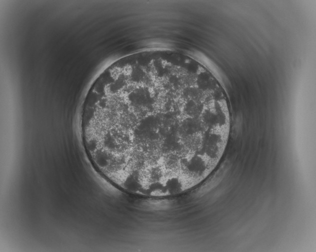 X0000111451243200908101028