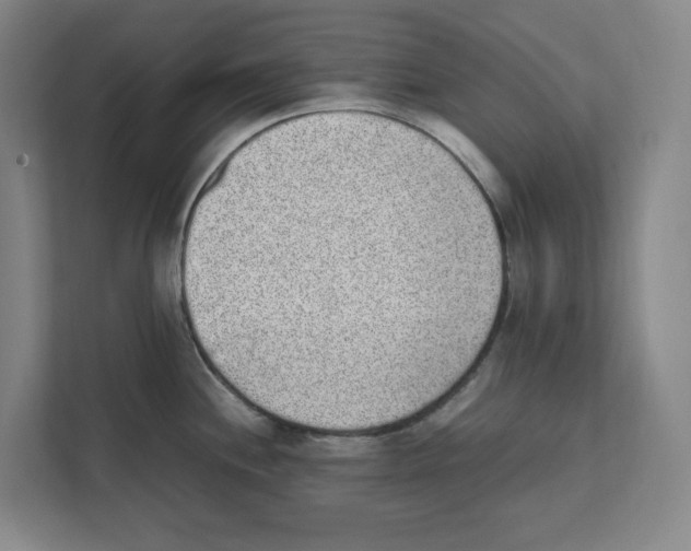 X0000111451244200908101028