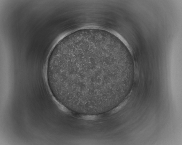 X0000111451245200908101028