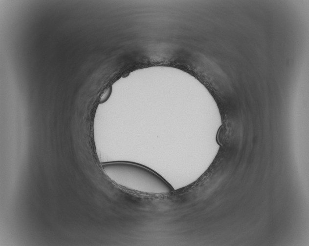X0000111451249200908101027