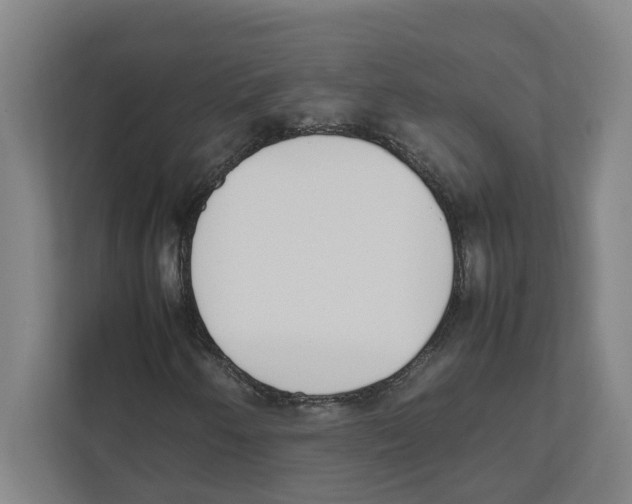 X0000111451250200908101027