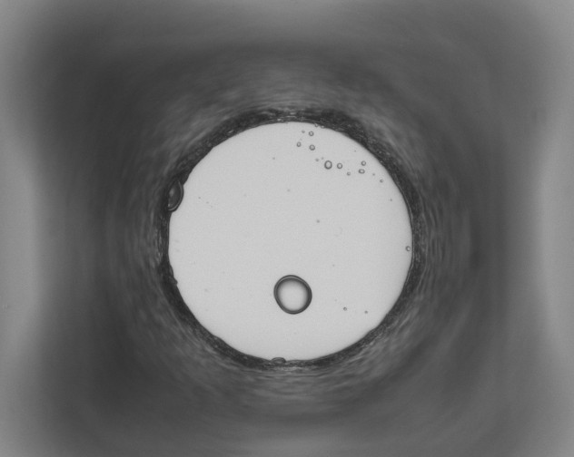 X0000111451253200908101027