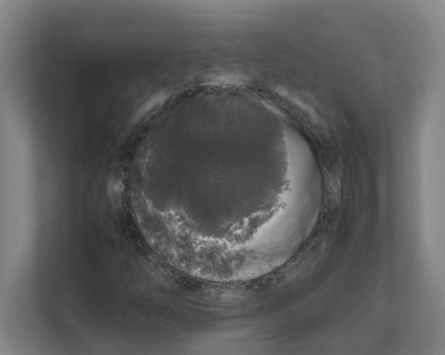 X0000111451254200908101027