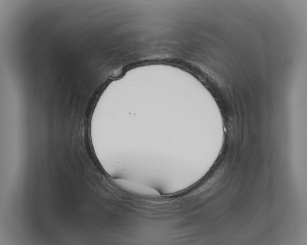 X0000111451257200908101027