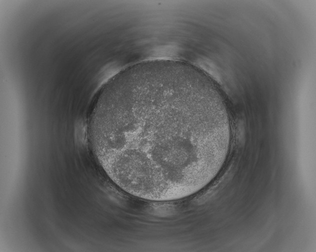 X0000111451258200908101027
