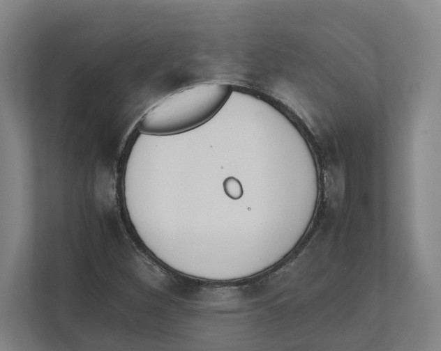 X0000111451260200908101027