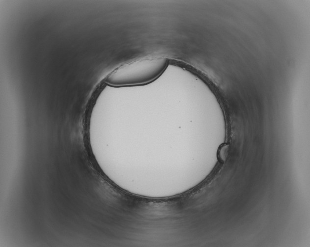 X0000111451264200908101027