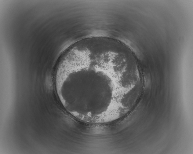 X0000111451266200908101027