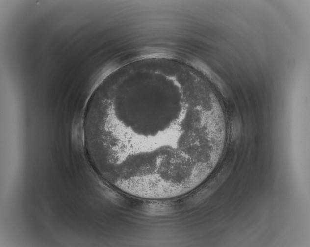 X0000111451274200908101027
