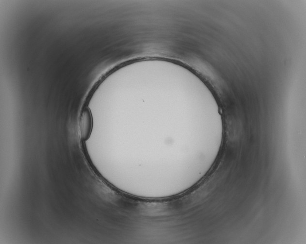 X0000111451280200908101027