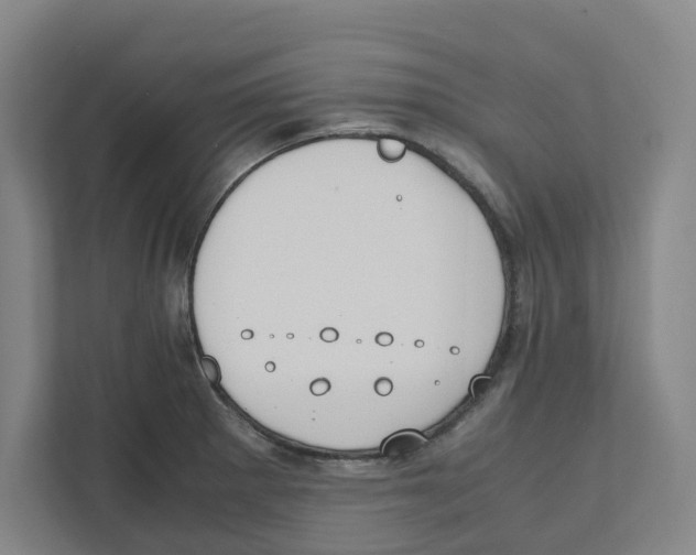 X0000111451281200908101027
